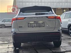 جيتور داشينج